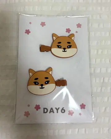 day6 용케이 헤어 클립