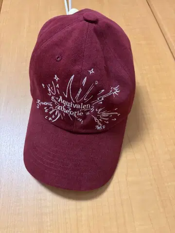 GADID ANONIEM ZHOK / BURGUNDY 캡 RED