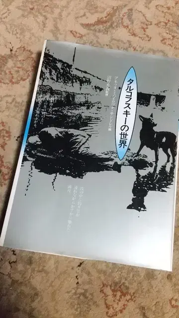 타르코프스키의 세계