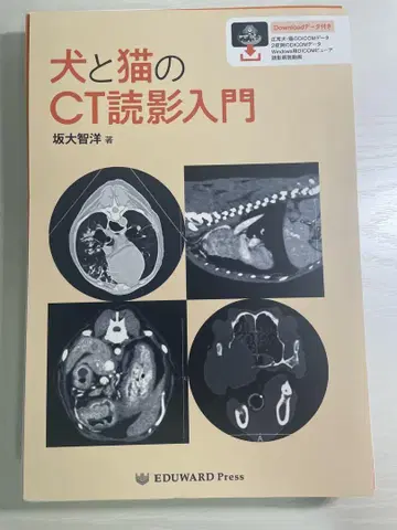 [재단] 개와 고양이의 CT 판독 입문