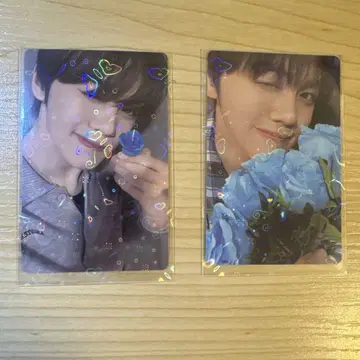 ZB1 김규빈 Our BLUE Bakery 트레이딩 카드 세트