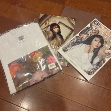 쿠도 시즈카 Love Parado 티셔츠 팜플렛 2장