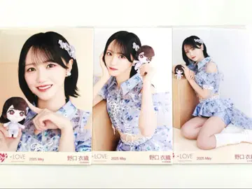 이코러브 노구치 이오리 봉제 인형 마스코트 브로마이드 컴프
