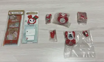트와이스 채영