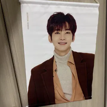 SEVENTEEN WONWOO 태피스트리 약 20cm x 60cm