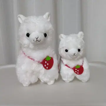 알파캇소 스트로베리 봉제인형 마스코트 시로쨩 2점