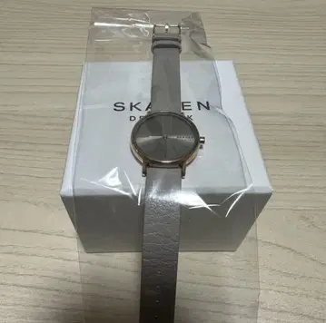SKAGEN 시그니처 릴레 SKW3060