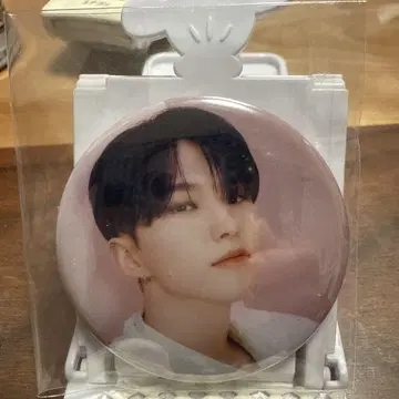 SEVENTEEN ALWAYS YOURS 호시 캔뱃지