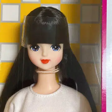 리카짱 캐슬 미라이 DS69 모델 인형 쇼