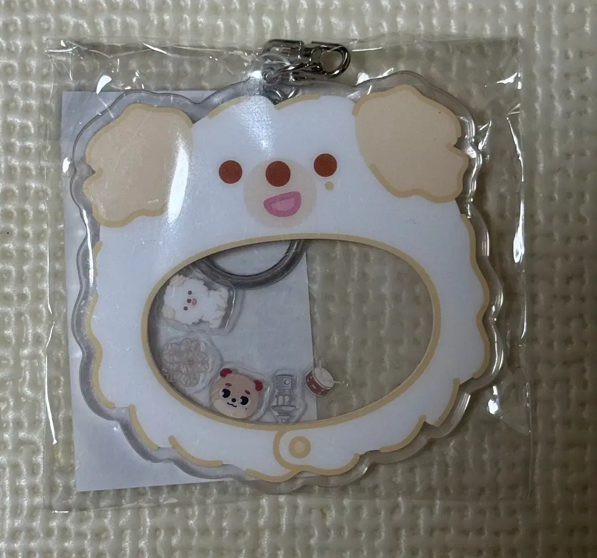 DAY6 PIER 10 fanmeeting md wts at cost