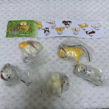 거부 개 스트랩 5종 세트