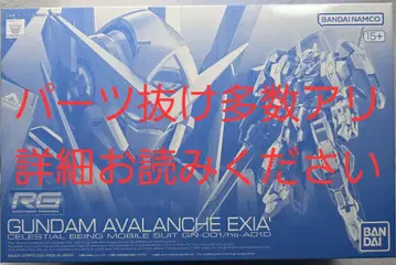 RG 1/144 건담 아발란체 엑시아 대쉬 정크품 2