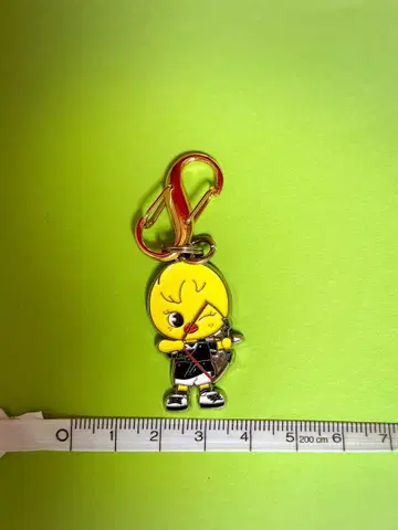 straykids popup 2024 키링 포가리