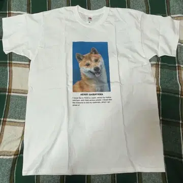 fruit of the loom shibainu tee