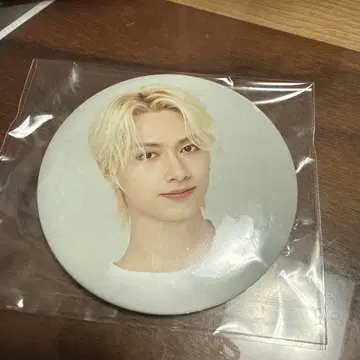 SEVENTEEN 세븐틴 carat land 2023 럭키 드로우 준