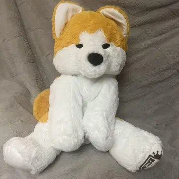 쿠타리 아키타견 BIG 봉제 인형 미사용 새상품 아키타켄 약 50cm