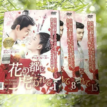 꽃의 도시에 호랑이가 내려왔다 렌탈 DVD 전 15권 중국 드라마