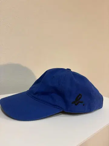 아녜스베 캡 파랑