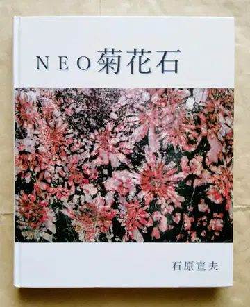 NEO 국화석 이시하라 노부오