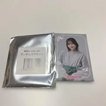 사쿠라자카 카페 마그넷 마츠다 리나