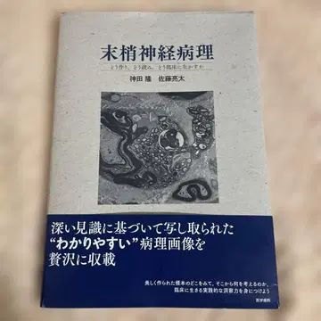 미병 신경병리