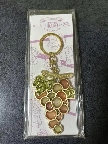 사잔 올스타즈 키링