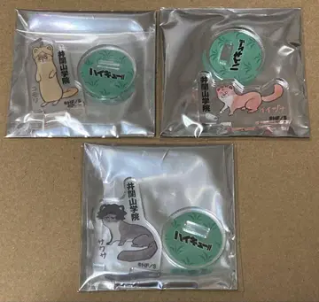 하이큐 팬 파크 이타가야산 세트 사쿠하 이즈나 고모리 아크릴 미니