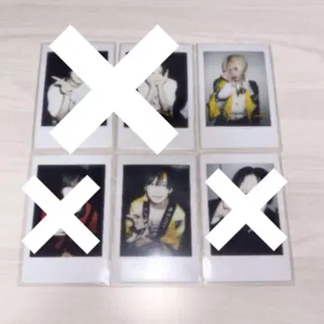 호비 폴라로이드, 랜 폴라로이드
