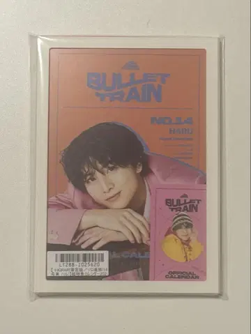 초특급 하루 카시와기 하루카 달력