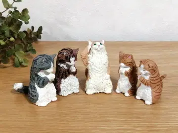 고양이 5마리 세트