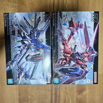 HG 라이징 프리덤 & HG 이모탈 저스티스 건담 프라모델