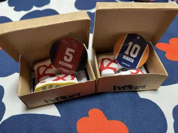 하이큐!! 미니어처 신발 컬렉션 코즈메 켄마 히나타 쇼요