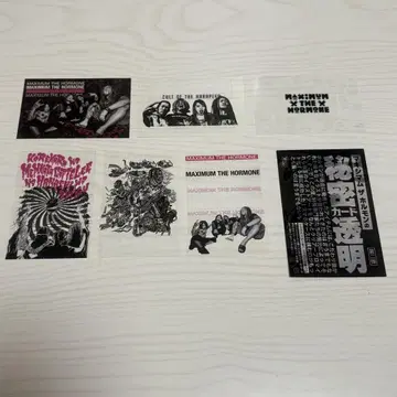 맥시멈 더 호르몬 비밀 카드 2