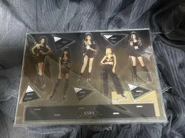 KARA 규리 선영 니콜 지영 요지 K-POP 아크릴 스탠드