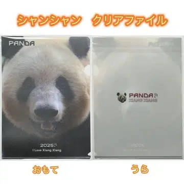샹샹 클리어 파일 1