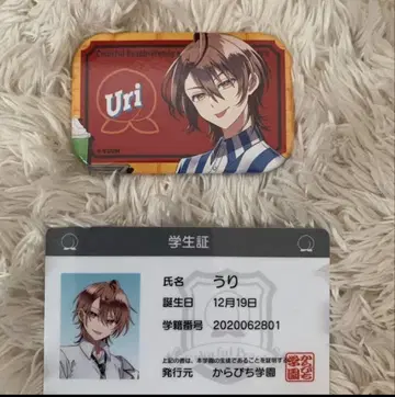 컬러풀피치 유리 학생증 캔뱃지