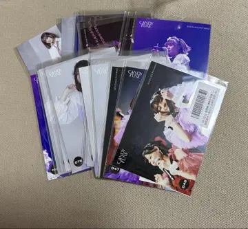 CANDY TUNE 미야노 시즈오 브로마이드 사인 포함