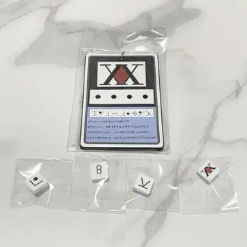 HUNTER x HUNTER 히소카 헌터 라이선스 네임 키링