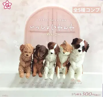 함께 자요~강아지~ 전5종 컴플리트