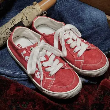 Levi 스니커즈 22cm