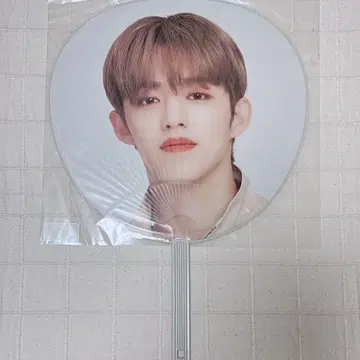 SEVENTEEN 에스쿱스 S.Coups 부채 Ode to You