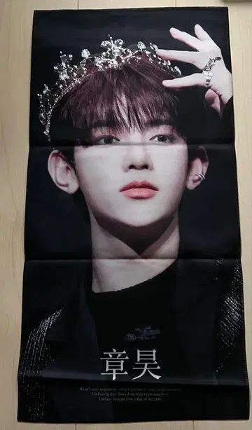 ZEROBASEONE 제베원 장하오 슬로건