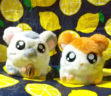 [레어] 똘똘이 햄토리 봉제 인형 저금통 세트