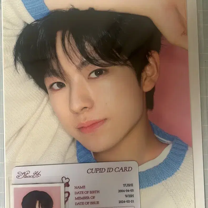 nct wish ユウシ steady 中華 一直娱 yizhiyu 予約特典 NCT | 엔시티 Nct wish uushi steady photo set on Bunjang