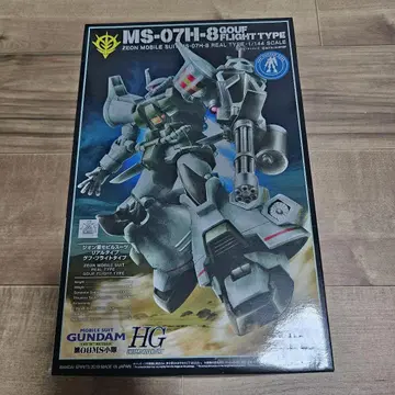 HG 구프 플라이트 타입