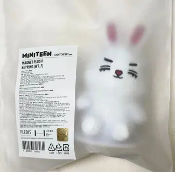 seventeen miniteen 에스쿱스 마그넷 키링 미사용