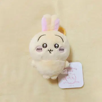 치이카와 파크  마스코트 토끼