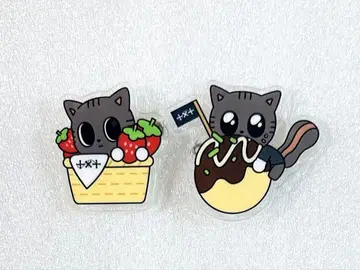 TXT 풀바두 아크릴 배지 지역 한정 후쿠오카 오사카 타고냥