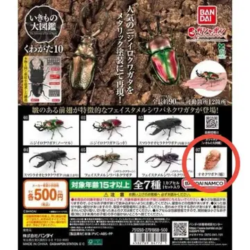 생물대도감 사슴벌레10 왕사슴벌레(번데기) 미개봉