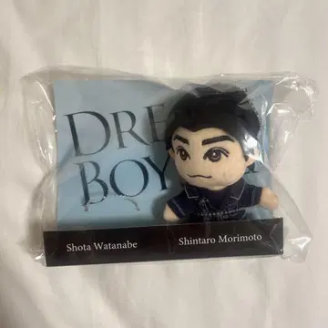 DREAM BOYS 모리모토 신타로 봉제인형